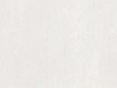 BASALTINOWHITEF1